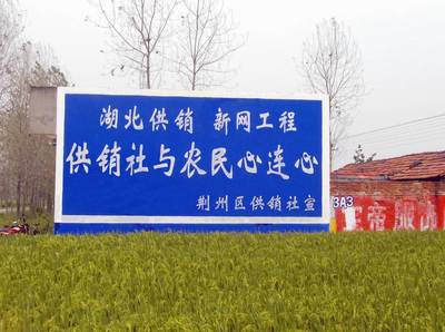 广东欣美 以专业喷绘技术点亮农村墙体广告与户外广告市场