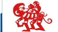 中视引领国内广告新风向 深耕本土，连接未来